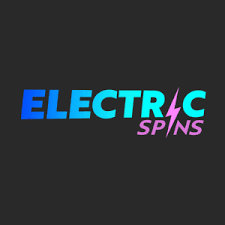 electric spins logo