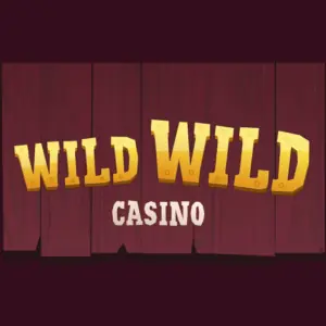 wild wild casino logo
