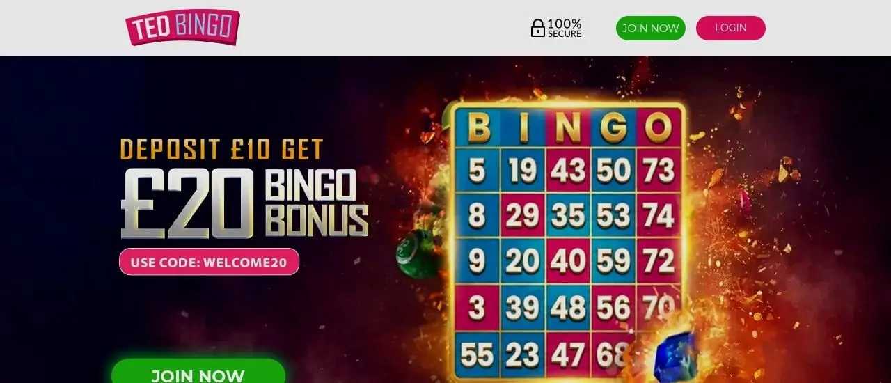 Ted Bingo homepage