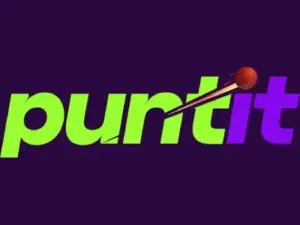 puntit logo